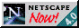 Netscape Navigator 4
